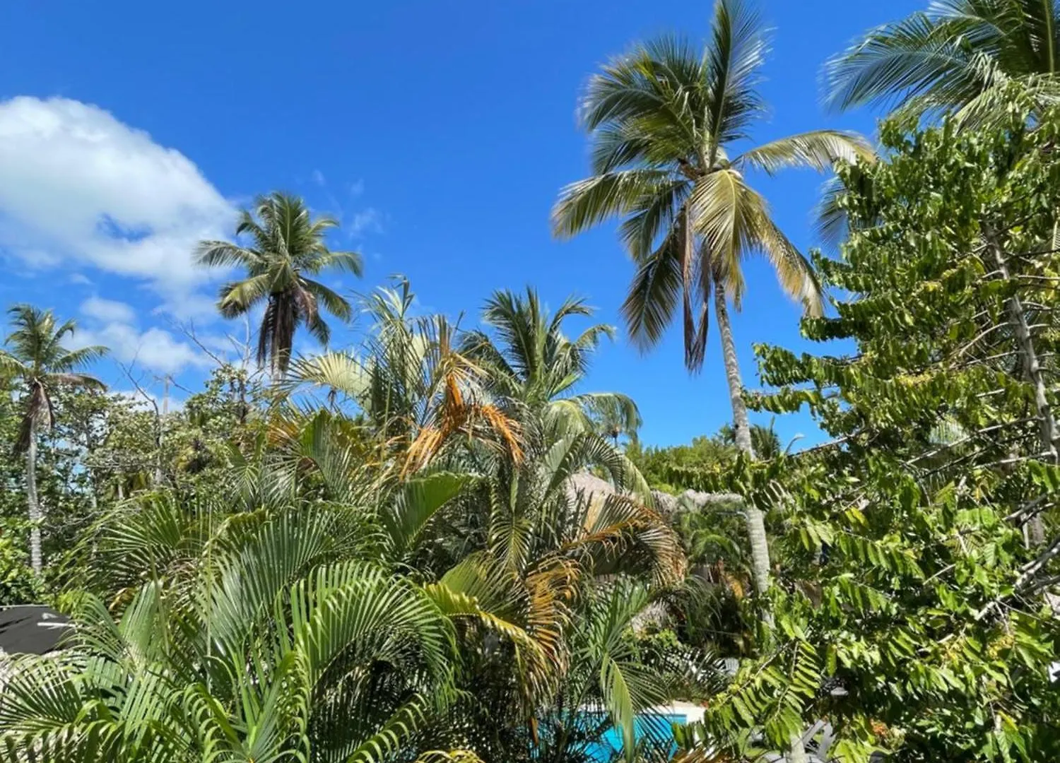 Vila Villasmana Playabonita Lasterrenas Nearbeach Las Terrenas Dominikánská republika