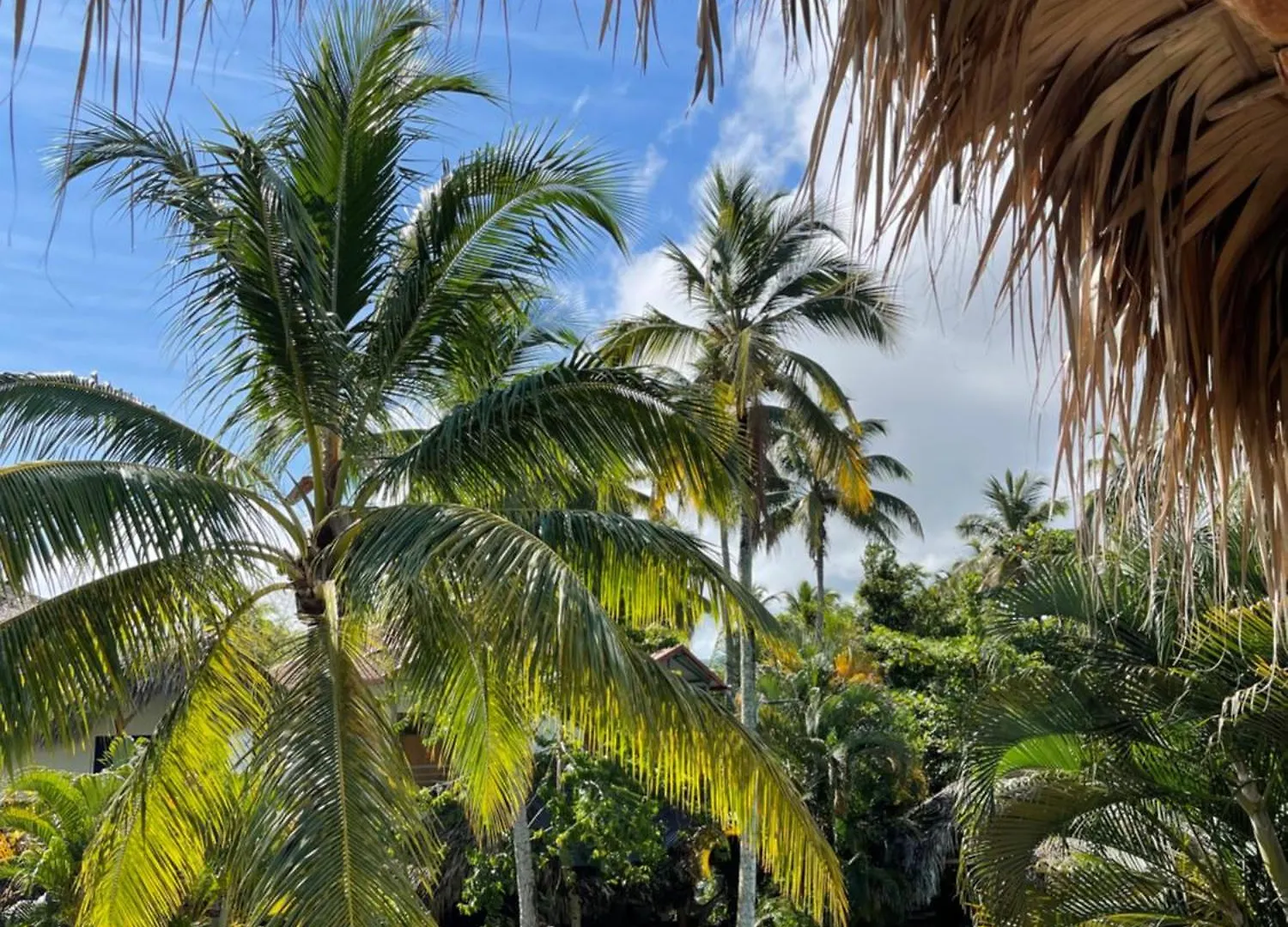 Vila Villasmana Playabonita Lasterrenas Nearbeach Las Terrenas Dominikánská republika