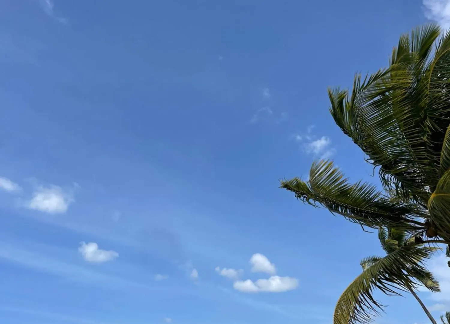 Villasmana Playabonita Lasterrenas Nearbeach Las Terrenas