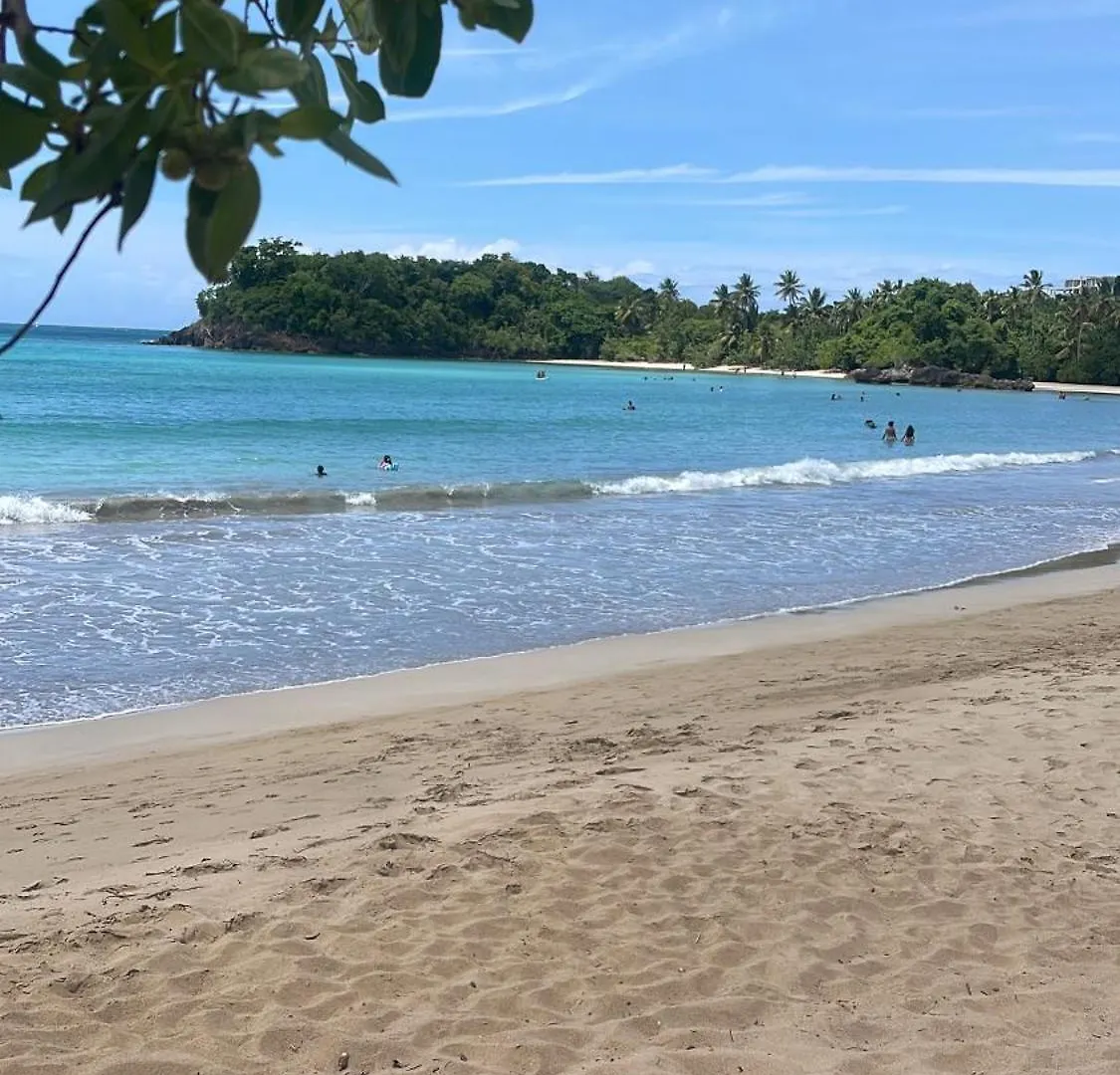 Villasmana Playabonita Lasterrenas Nearbeach 라스테레나스 도미니카 공화국